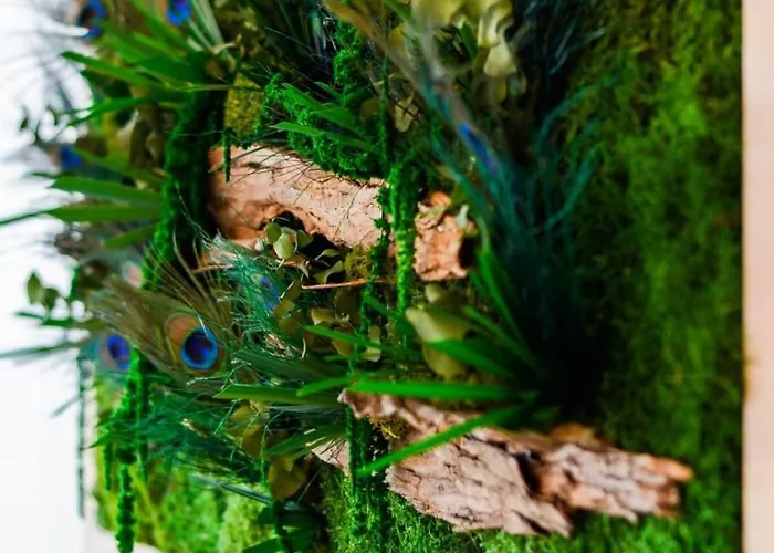 Apartamento Thermal Fabuleux 3 Ch Garage Nancy